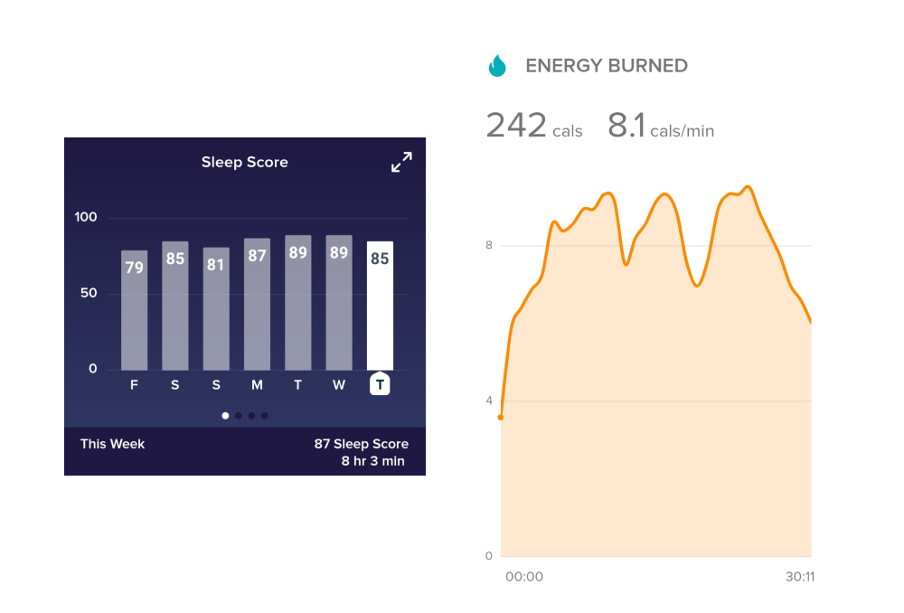 fitbit data viz example 3