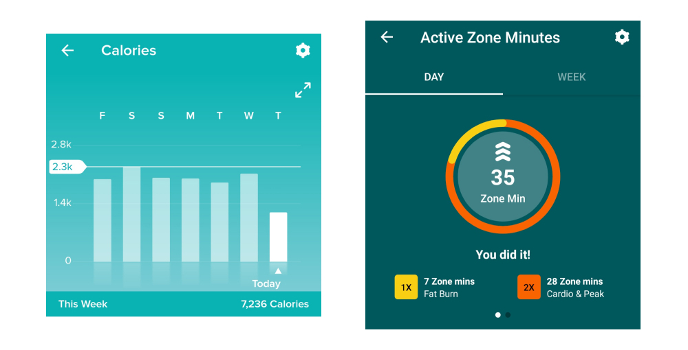 A bar chart showing calories burned each day over the course of a week, and a variant on a pie chart showing what proportion of overall exercise time took place in the "fat burn" zone and in the "cardio and peak" zones