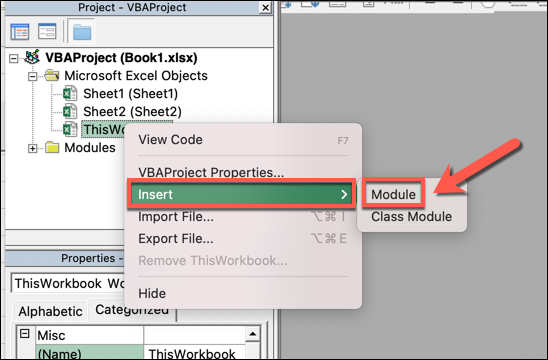 The VBA editor in Microsoft Excel, which has opened in a separate window. A particular workbook has been selected from the tree menu and “insert” then “module” selected from the subsequent drop-down menu.